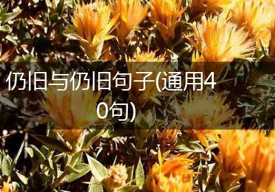 仍旧与仍旧句子(通用40句)