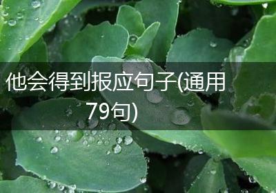 他会得到报应句子(通用79句)