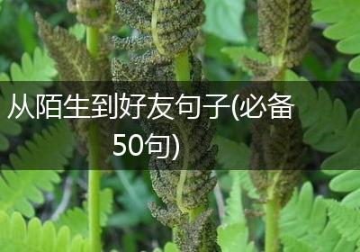 从陌生到好友句子(必备50句)