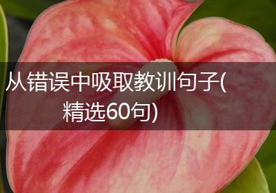 从错误中吸取教训句子(精选60句)