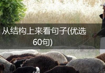 从结构上来看句子(优选60句)