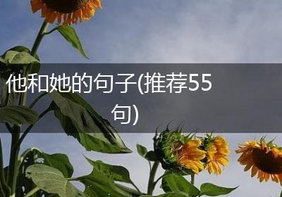 他和她的句子(推荐55句)