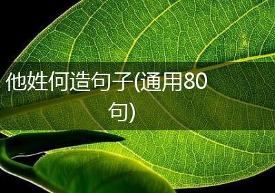 他姓何造句子(通用80句)