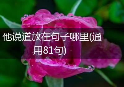 他说道放在句子哪里(通用81句)
