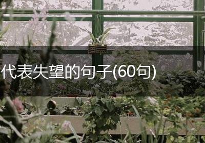 代表失望的句子(60句)