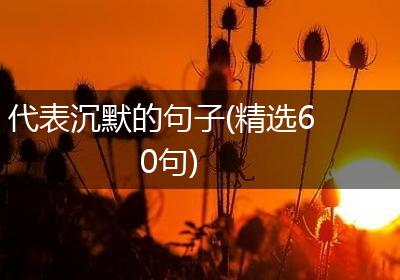 代表沉默的句子(精选60句)