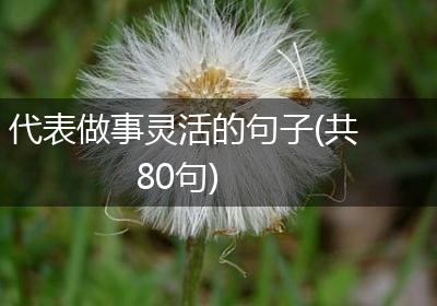 代表做事灵活的句子(共80句)