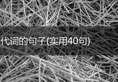 代词的句子(实用40句)