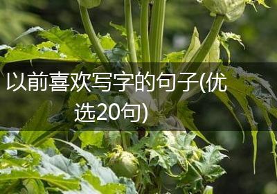 以前喜欢写字的句子(优选20句)