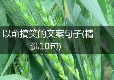以前搞笑的文案句子(精选10句)