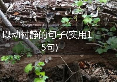 以动衬静的句子(实用15句)