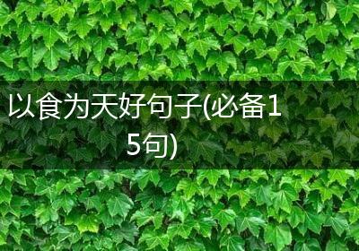 以食为天好句子(必备15句)