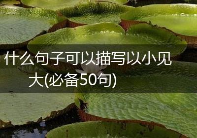 什么句子可以描写以小见大(必备50句)