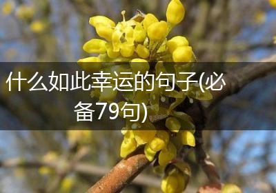 什么如此幸运的句子(必备79句)