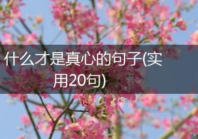 什么才是真心的句子(实用20句)