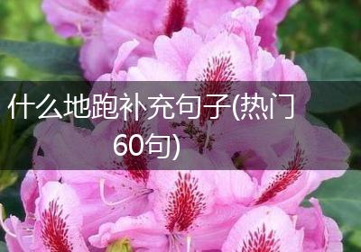 什么地跑补充句子(热门60句)