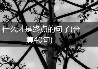什么才是终点的句子(合集40句)
