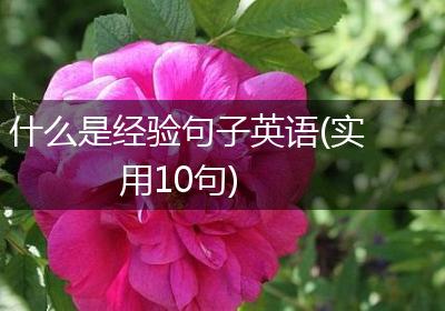 什么是经验句子英语(实用10句)