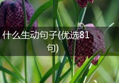 什么生动句子(优选81句)