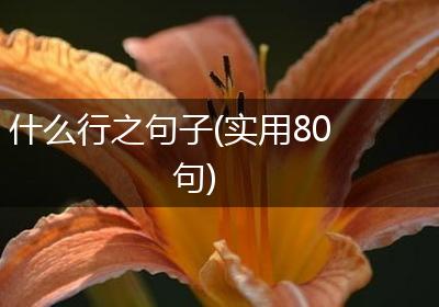 什么行之句子(实用80句)
