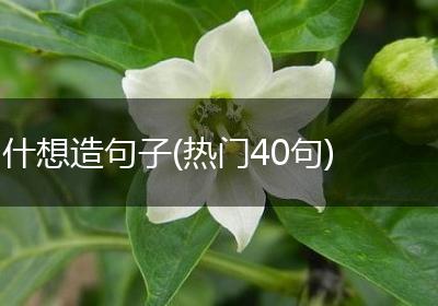 什想造句子(热门40句)