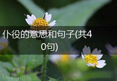 仆役的意思和句子(共40句)