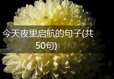 今天夜里启航的句子(共50句)