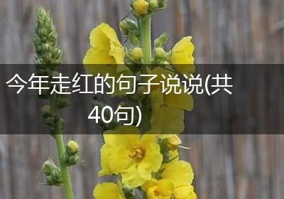 今年走红的句子说说(共40句)