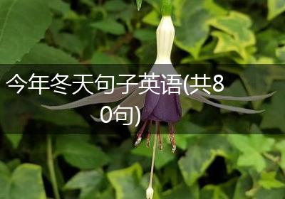 今年冬天句子英语(共80句)