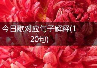 今日歌对应句子解释(120句)