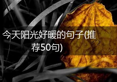 今天阳光好暖的句子(推荐50句)