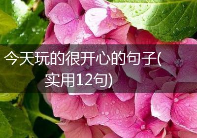 今天玩的很开心的句子(实用12句)