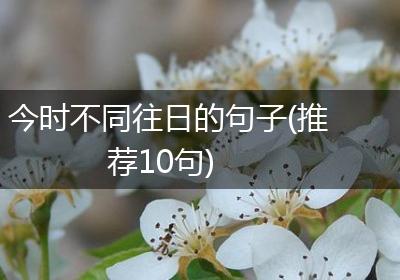 今时不同往日的句子(推荐10句)
