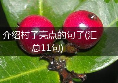 介绍村子亮点的句子(汇总11句)