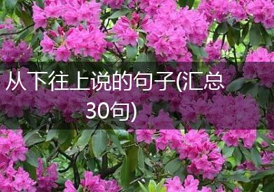 从下往上说的句子(汇总30句)