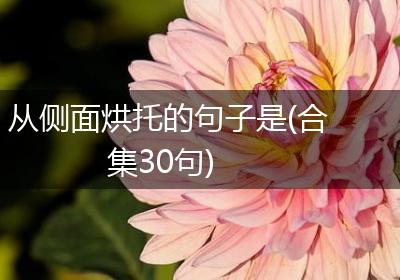 从侧面烘托的句子是(合集30句)