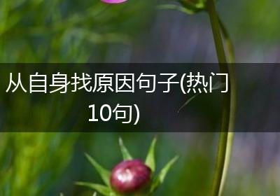 从自身找原因句子(热门10句)