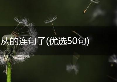从的连句子(优选50句)