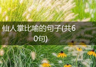 仙人掌比喻的句子(共60句)
