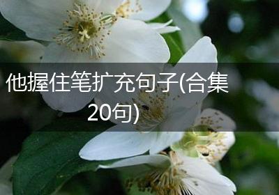 他握住笔扩充句子(合集20句)