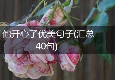 他开心了优美句子(汇总40句)