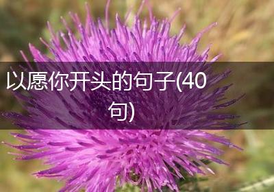 以愿你开头的句子(40句)