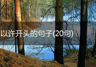以许开头的句子(20句)