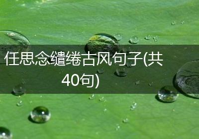 任思念缱绻古风句子(共40句)
