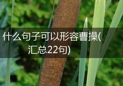 什么句子可以形容曹操(汇总22句)