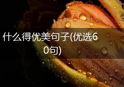 什么得优美句子(优选60句)