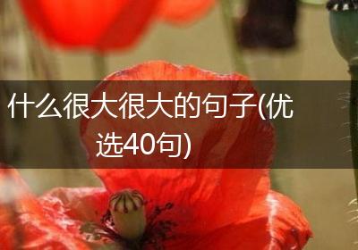 什么很大很大的句子(优选40句)