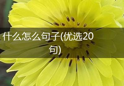 什么怎么句子(优选20句)