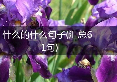 什么的什么句子(汇总61句)