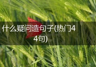 什么疑问造句子(热门44句)